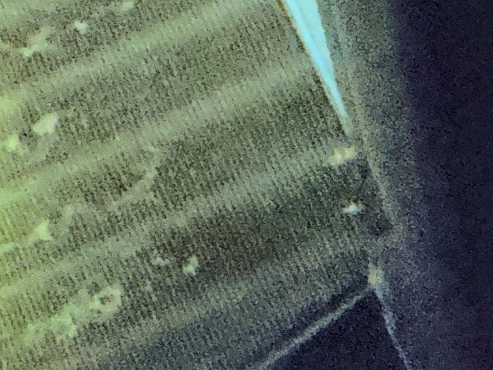 Before HVAC coil cleaning